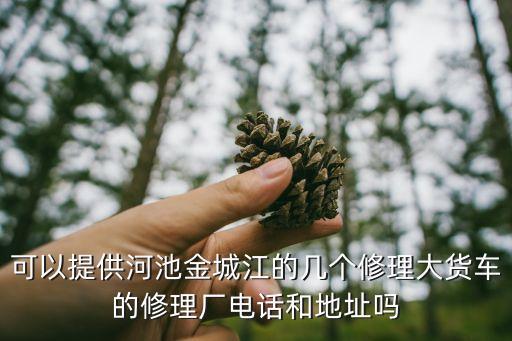 金城汽修汽配电话地址，可以提供河池金城江的几个修理大货车的修理厂电话和地址吗