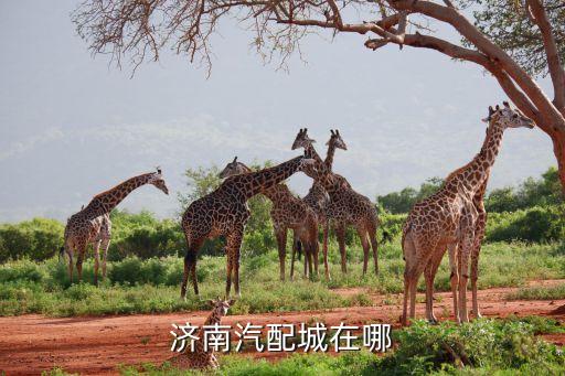 济南汽配城在哪