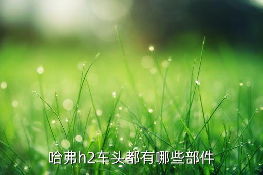 汽车配件长城哈佛零件，哈弗h2车头都有哪些部件