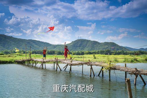 老顶坡通用汽车配件，重庆老顶坡微车汽配市场有那些