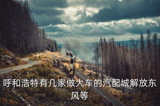 呼和浩特有几家做大车的汽配城解放东风等