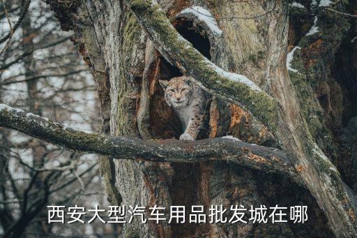 赣州那里有汽配城，赣州有几个汽配城