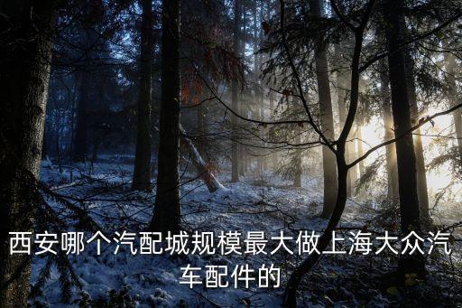 西安哪个汽配城规模最大做上海大众汽车配件的