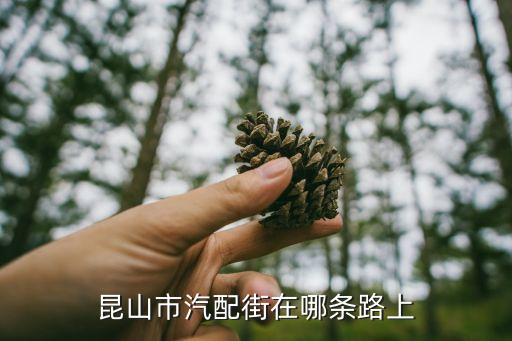 昆山嘉驭汽配的地址，昆山市汽配街在哪条路上