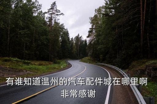 有谁知道温州的汽车配件城在哪里啊 非常感谢