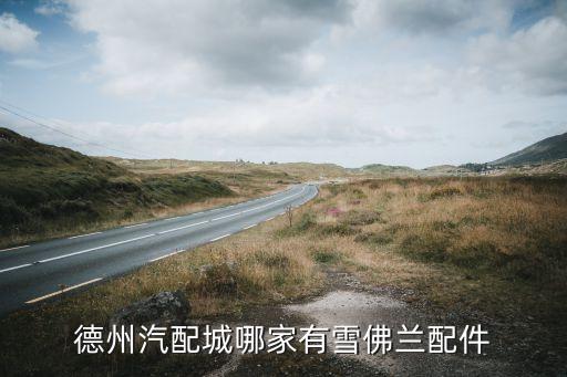 德州汽配城哪家有雪佛兰配件