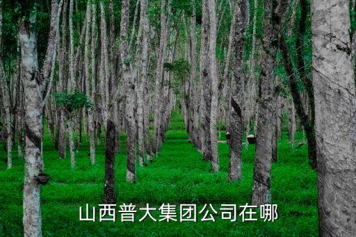 山西普大集团公司在哪