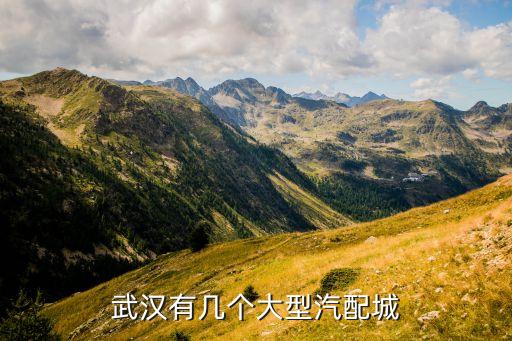 武汉有几个大型汽配城