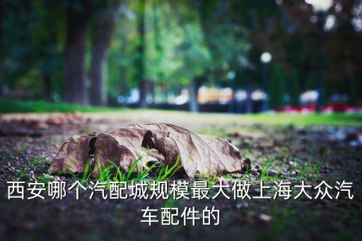西安哪个汽配城规模最大做上海大众汽车配件的