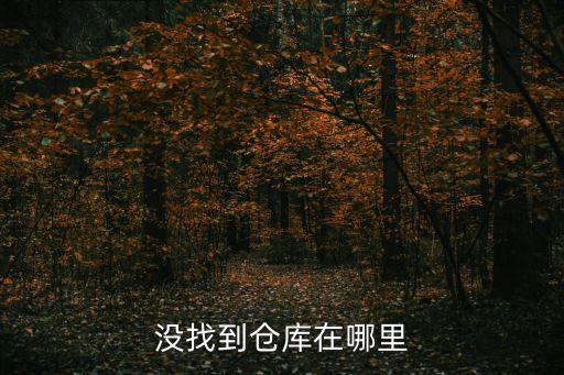 没找到仓库在哪里