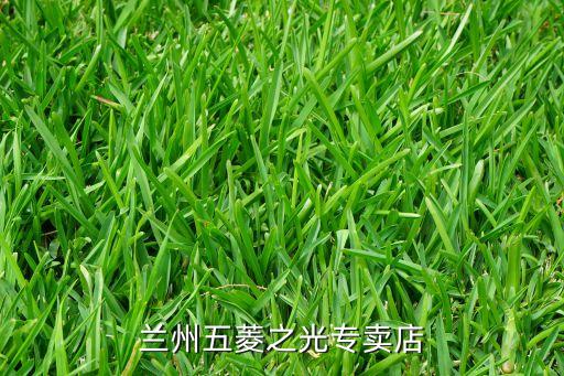 兰州五菱之光专卖店