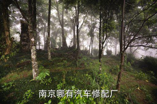 鸿达汽配汽修中心地址电话，重庆市南岸区汽车维修店
