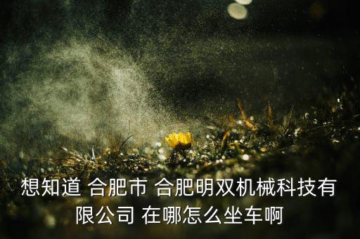 想知道 合肥市 合肥明双机械科技有限公司 在哪怎么坐车啊