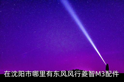 在沈阳市哪里有东风风行菱智M3配件