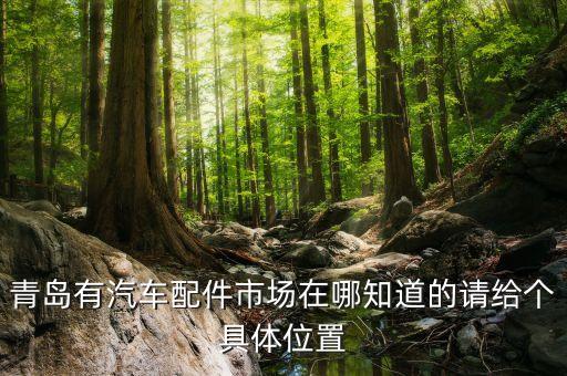 青岛有汽车配件市场在哪知道的请给个具体位置