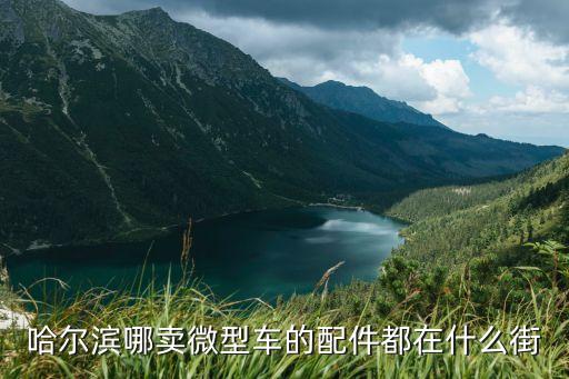 哈尔滨哪卖微型车的配件都在什么街