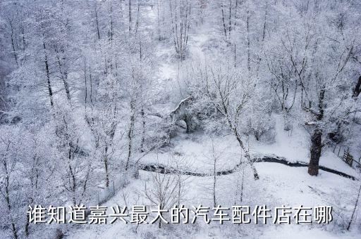 嘉兴汽配批发商店地址查询，谁知道嘉兴最大的汽车配件店在哪