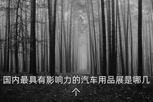 国内最具有影响力的汽车用品展是哪几个