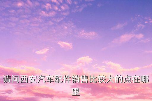 请问西安汽车配件销售比较大的点在哪里
