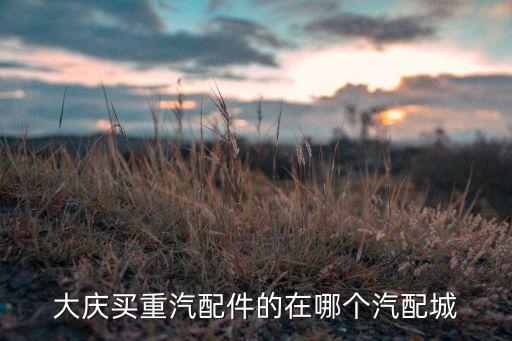 大庆买重汽配件的在哪个汽配城