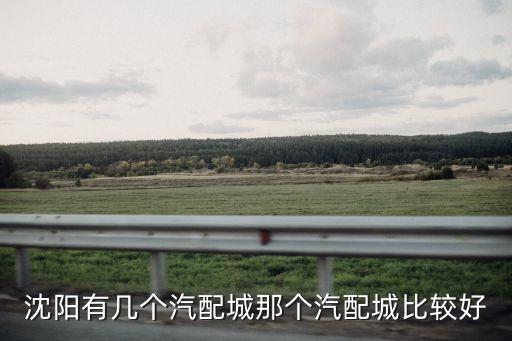 沈阳有几个汽配城那个汽配城比较好