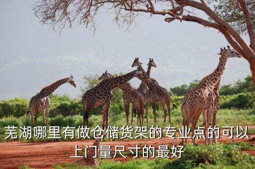 芜湖哪里有做仓储货架的专业点的可以上门量尺寸的最好