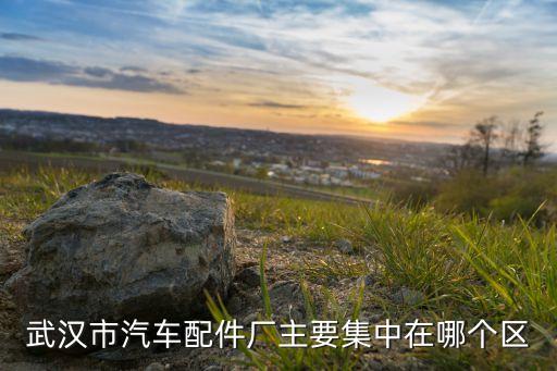 武汉市汽车配件厂主要集中在哪个区