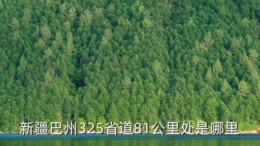 新疆巴州325省道81公里处是哪里