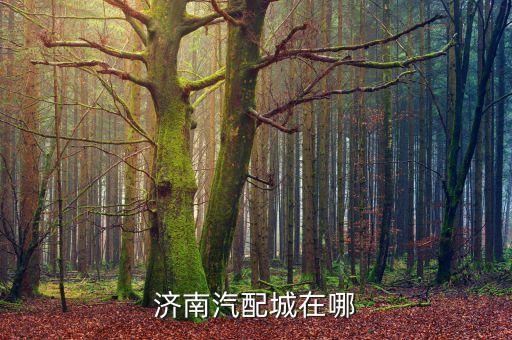 济南汽配城在哪