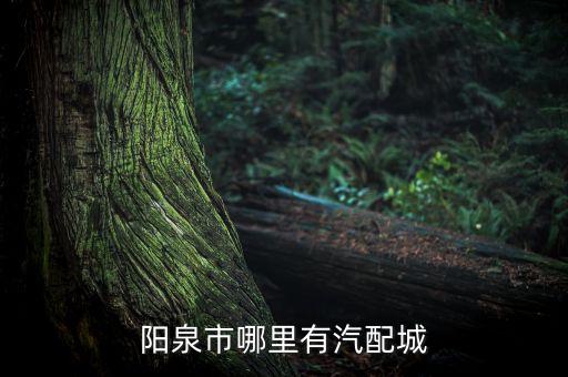 阳泉市哪里有汽配城