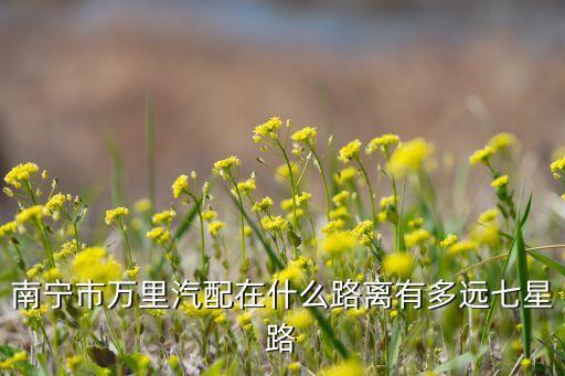 南宁市万里汽配在什么路离有多远七星路
