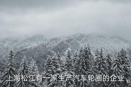 上海松江有一家生产汽车轮圈的企业