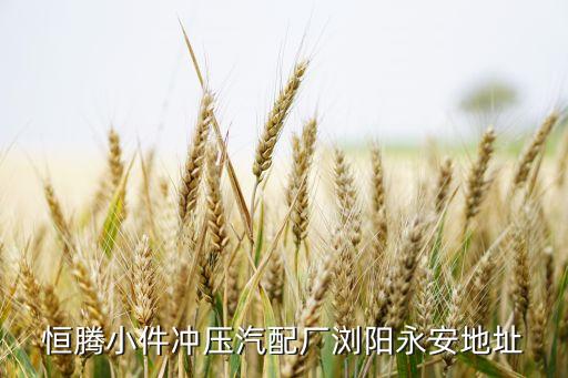 恒腾小件冲压汽配厂浏阳永安地址
