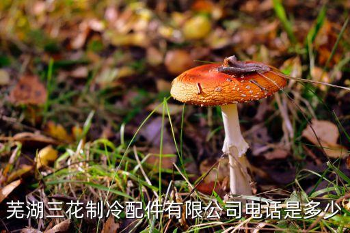 芜湖三花制冷配件有限公司电话是多少