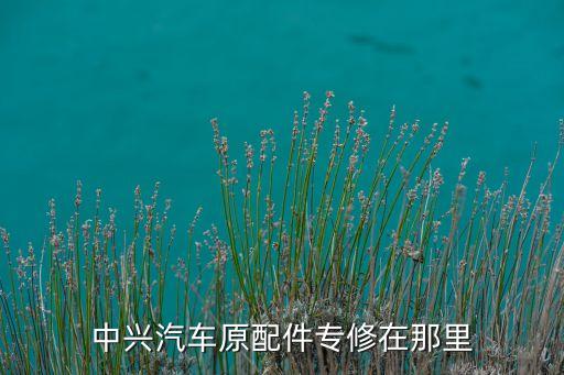 中兴汽车原配件专修在那里