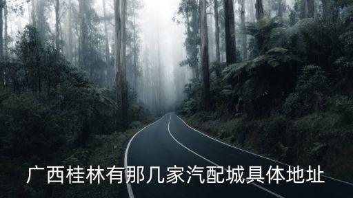 广西桂林有那几家汽配城具体地址