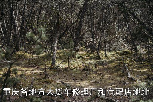 重庆各地方大货车修理厂和汽配店地址