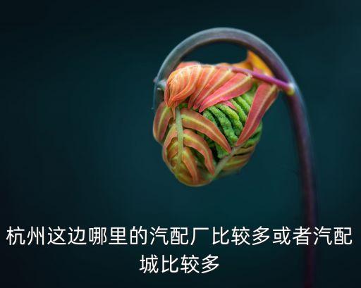 杭州这边哪里的汽配厂比较多或者汽配城比较多