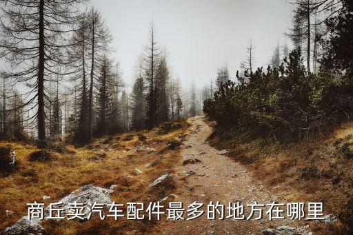 商丘卖汽车配件最多的地方在哪里