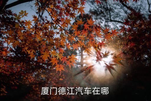 厦门德江汽车在哪