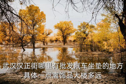 武汉汉正街哪里有批发汽车坐垫的地方具体一点离饰品大楼多远