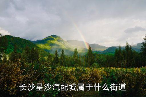 长沙星沙汽配城属于什么街道