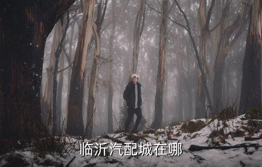 临沂汽配城在哪