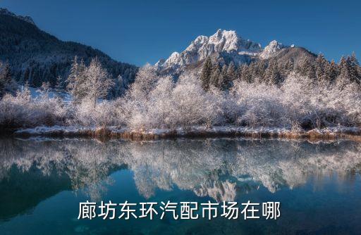 廊坊东环汽配市场在哪