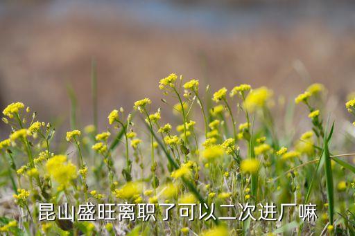 昆山盛旺离职了可以二次进厂嘛