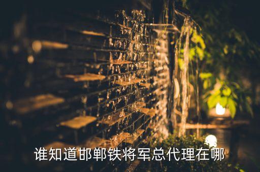 谁知道邯郸铁将军总代理在哪