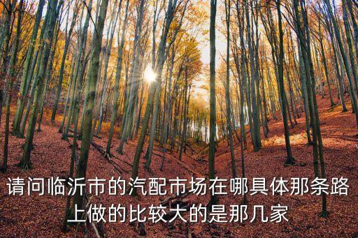 请问临沂市的汽配市场在哪具体那条路上做的比较大的是那几家