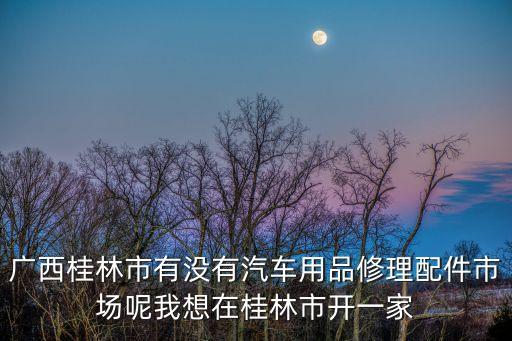 桂林汽配 汽配，桂林汽配城卖全车配件的在哪一条街