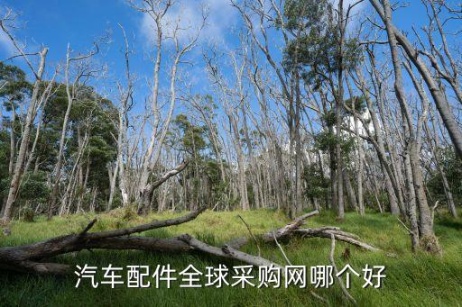 汽车配件全球采购网哪个好