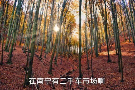 在南宁有二手车市场啊